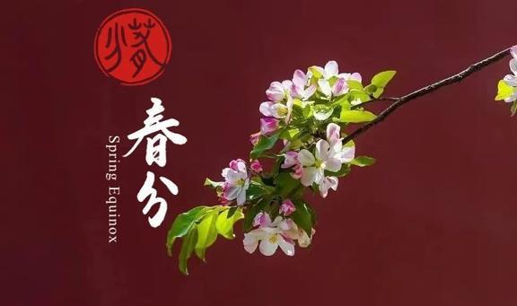 吃了春分菜一年都发财”“春菜”指啥麻将胡了试玩3月20日春分老人说“(图6)