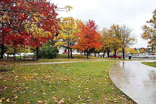 视报》2025年第40、41期麻将胡了电子版 《山西广播电(图20) 视报》2025年第40、41期麻将胡了电子版 《山西广播电(图20)